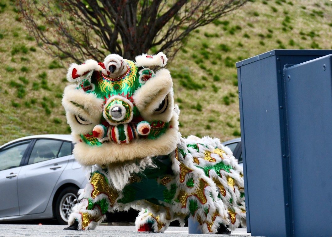 Lion Entering the Scene