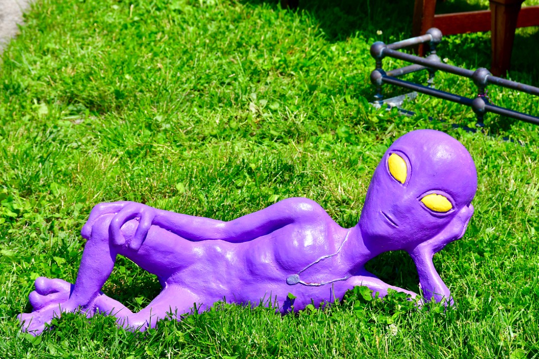 Purple Alien Chilling