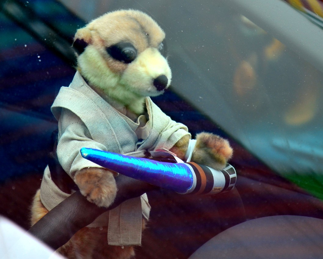 Meerkat Jedi Meerkat Jedi