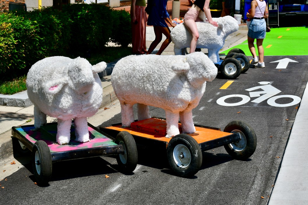 Sheep to Ride