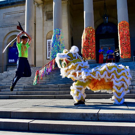 Gohs Kung Fu Lion Dance and Kung Fu