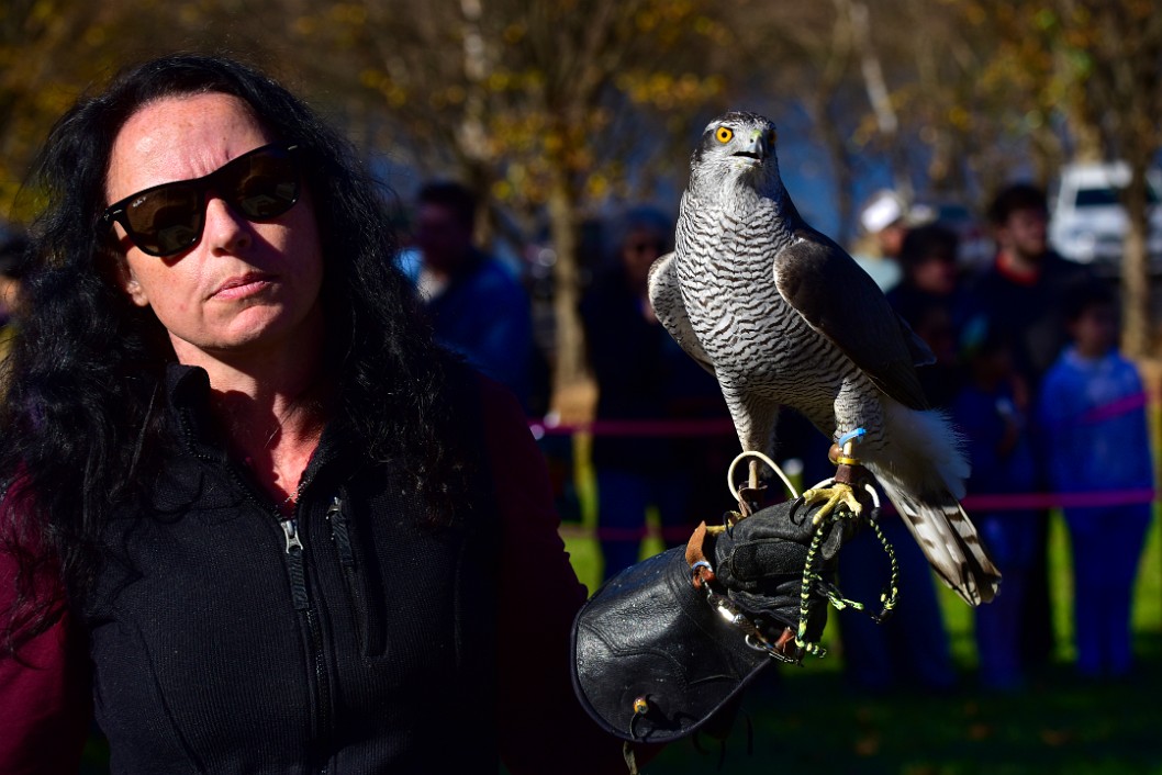 Shades and Cool Bird