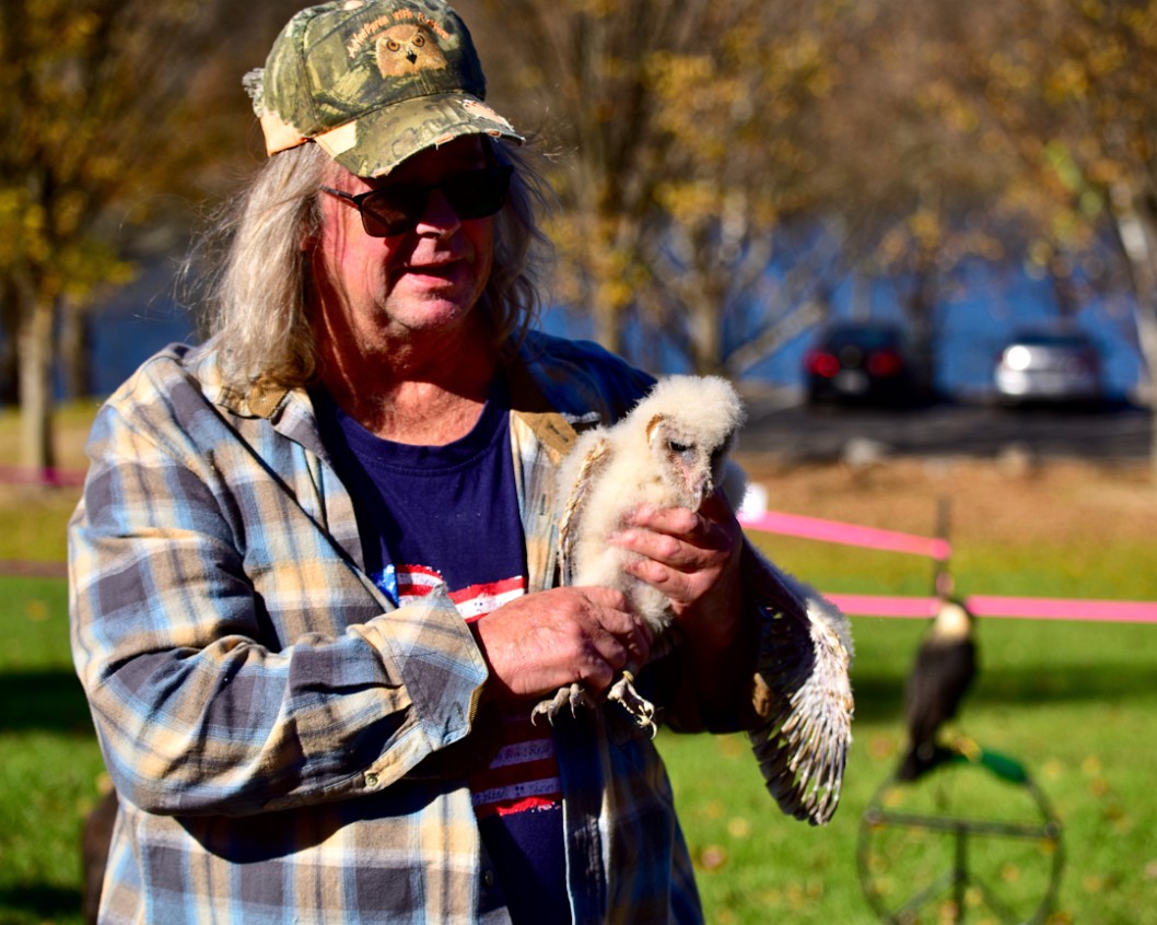 Fuzzy Baby Barn Owl 3