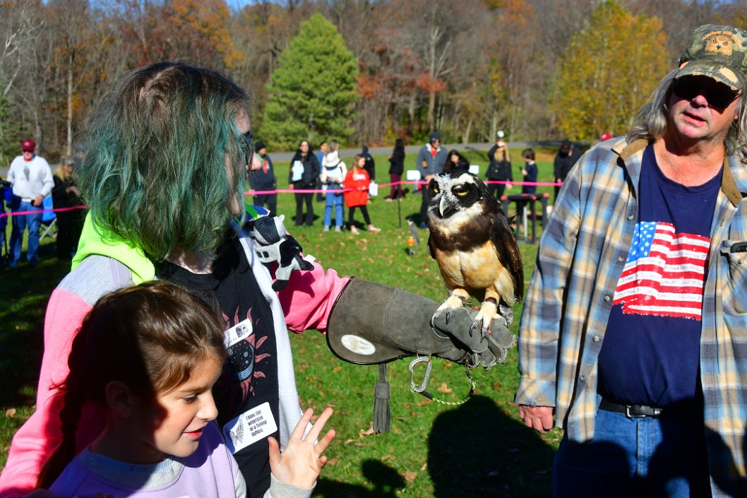 Handling the Spectacled Owl