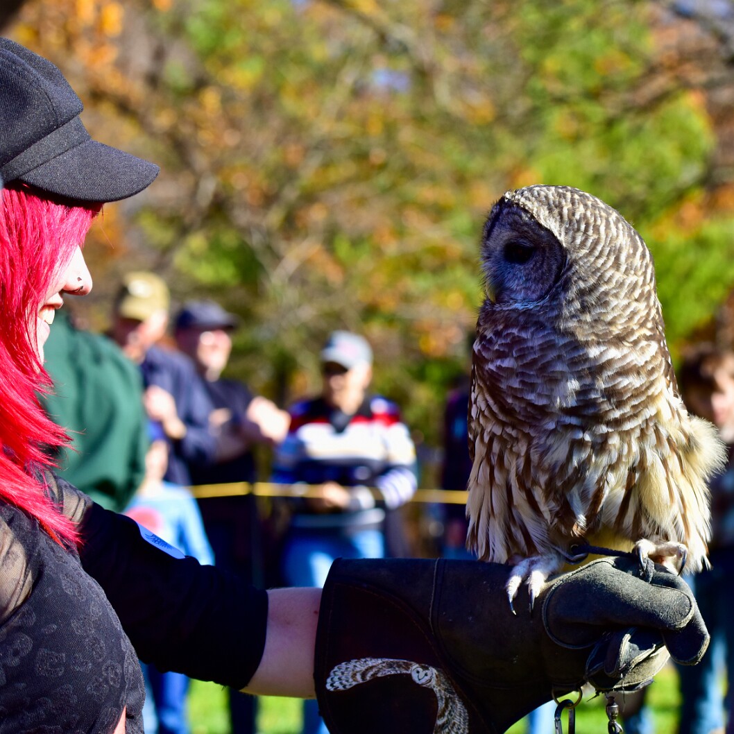 Claudia Happy With a Barred Owl