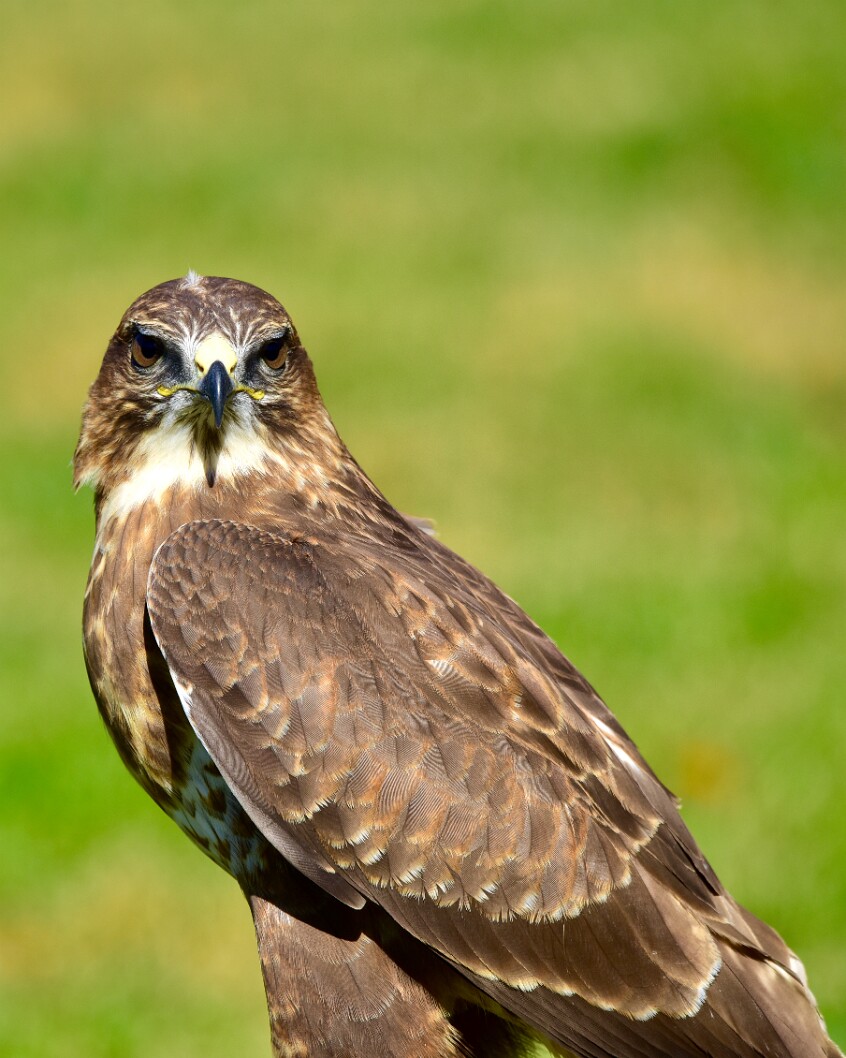 Questioning My Existence