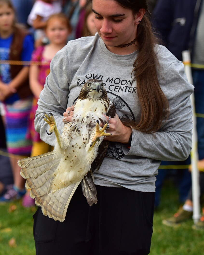 Gentle With Talons Out