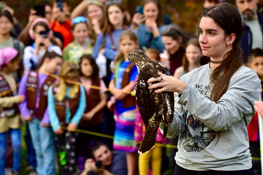 Readying for the Release