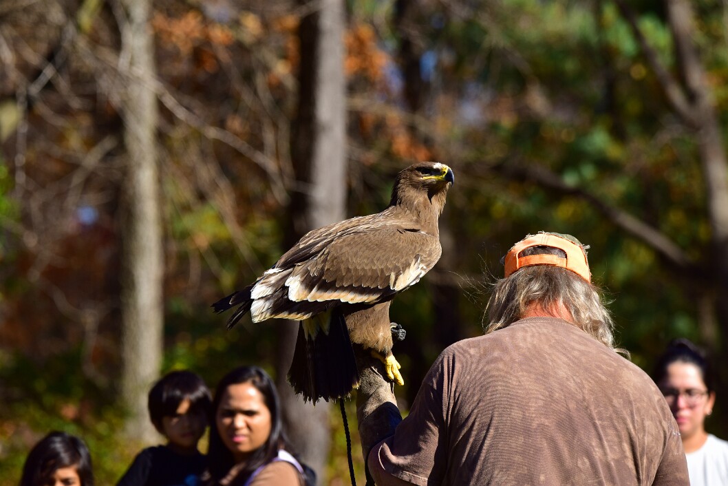 Standing Tall in the Light