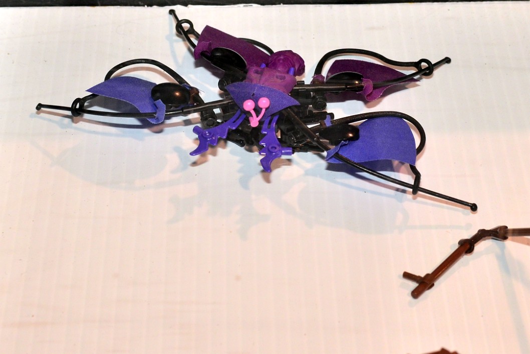 Beetle in Purple, Black, and Blue Beetle in Purple, Black, and Blue