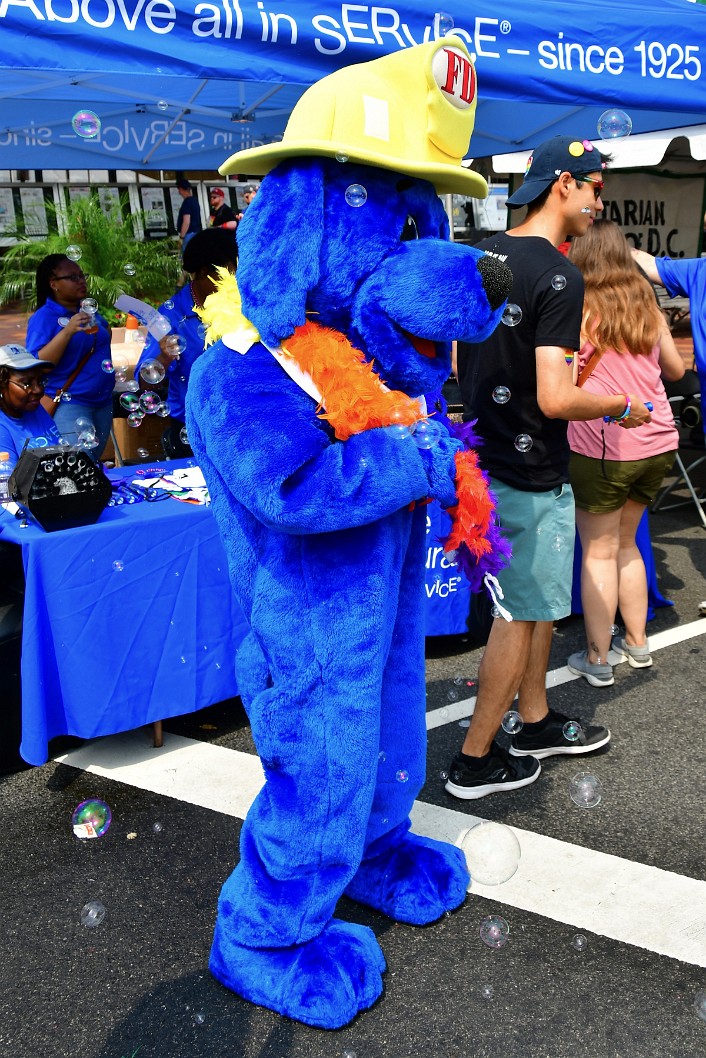 Blue Dog and Bubbles