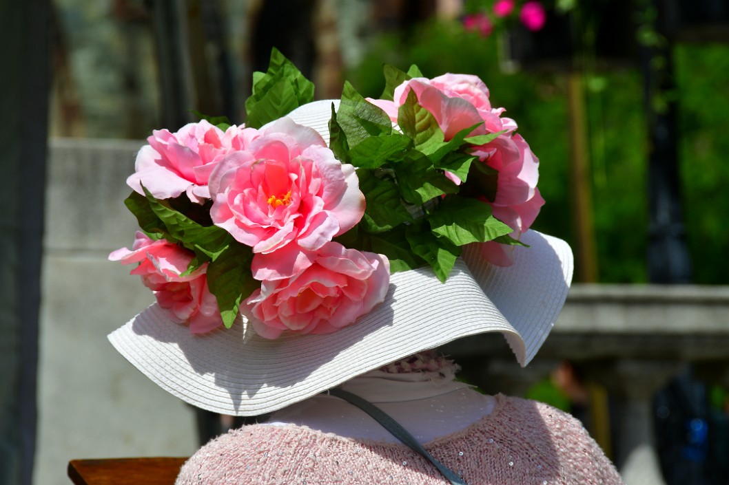 Pink Flowers Atop