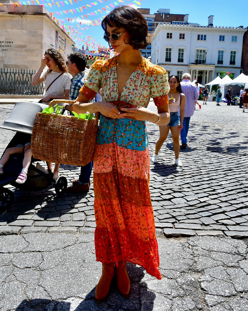 Basket and a Wonderful Dress 1