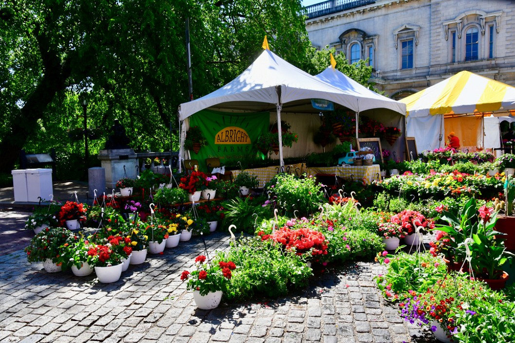 Glorious Plants of Albright Farms