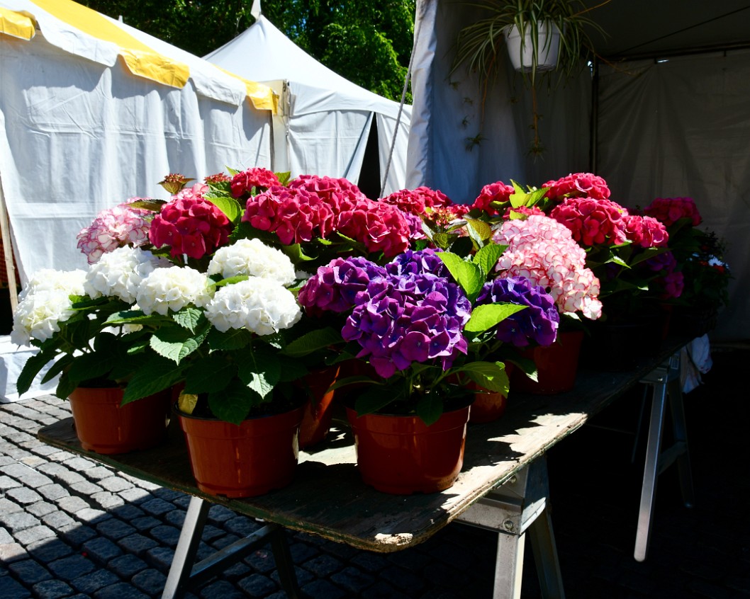 Pots on Table