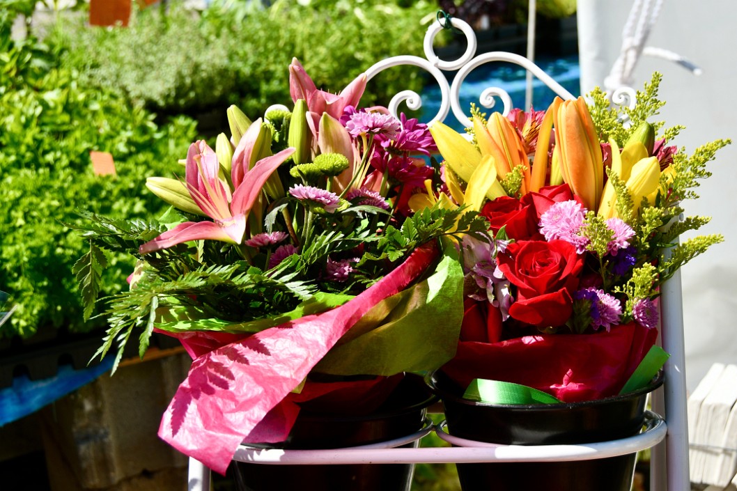 Potted Bouquet