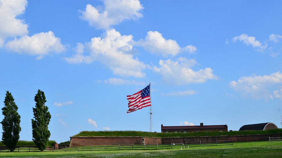 Two Trees and a Flag