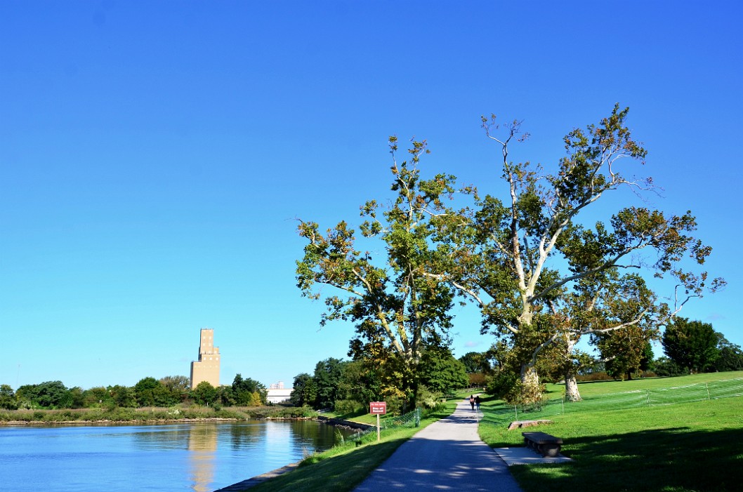 Clear Blue Skies