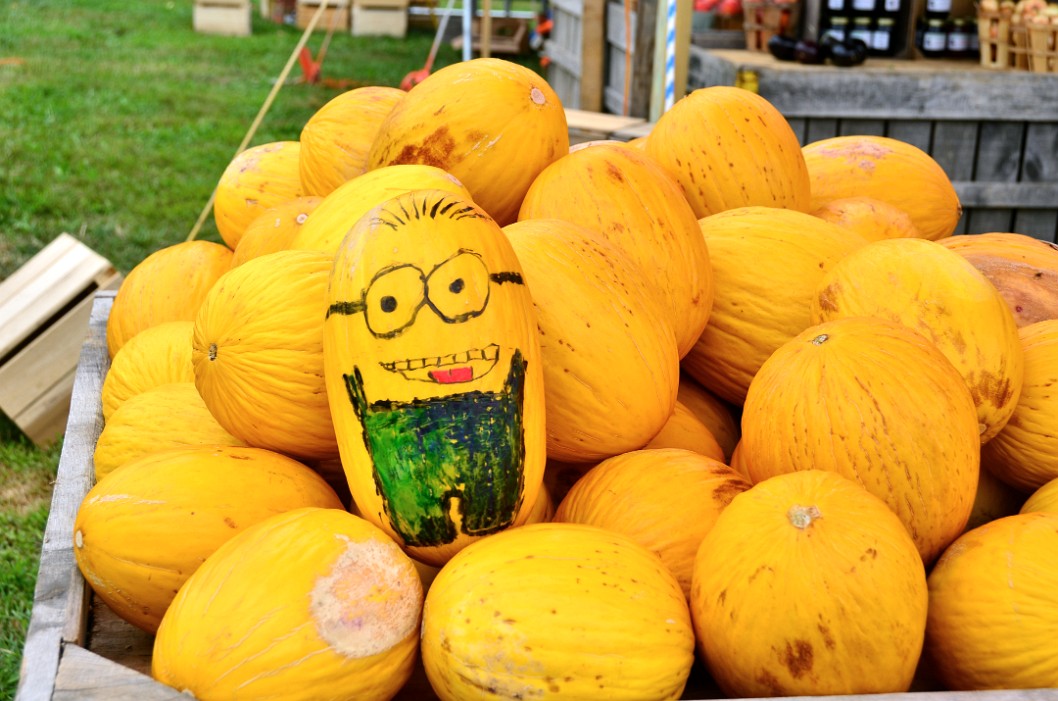 Minion Melon Minion Melon