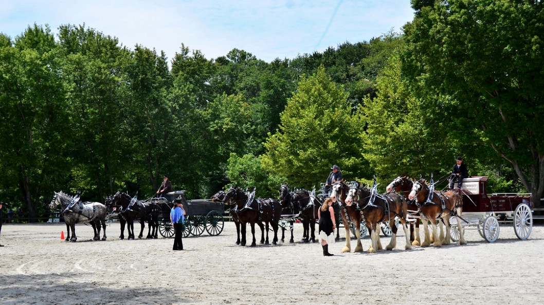 Line of Carriages