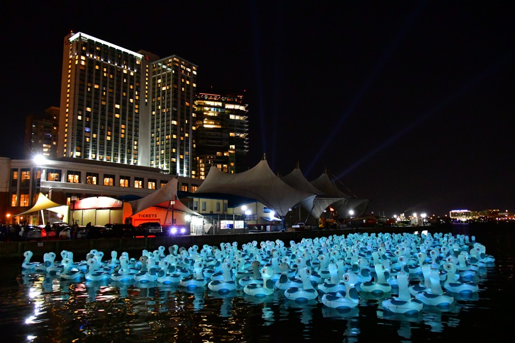 View of The Herd Looking Out Towards Pier 6