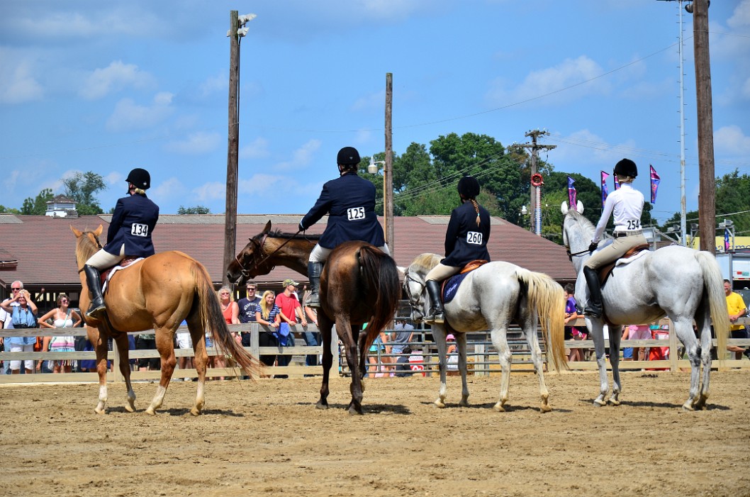 Lined Up for Judging Lined Up for Judging