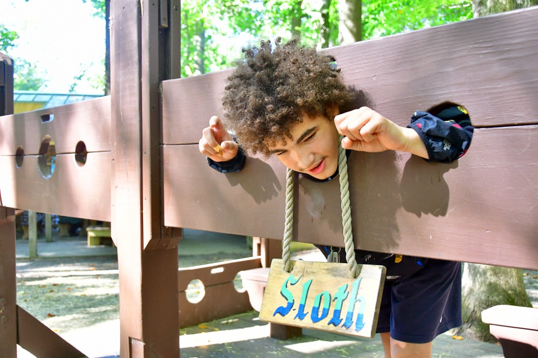 Sloth in the Stocks