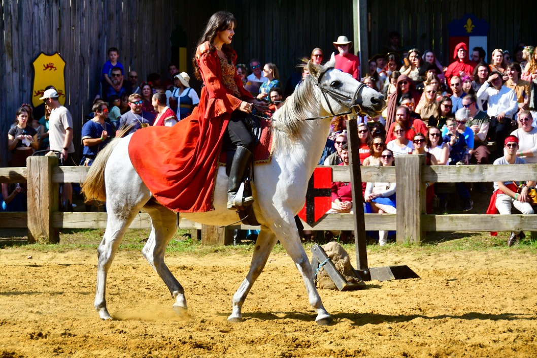 Astride a White Steed