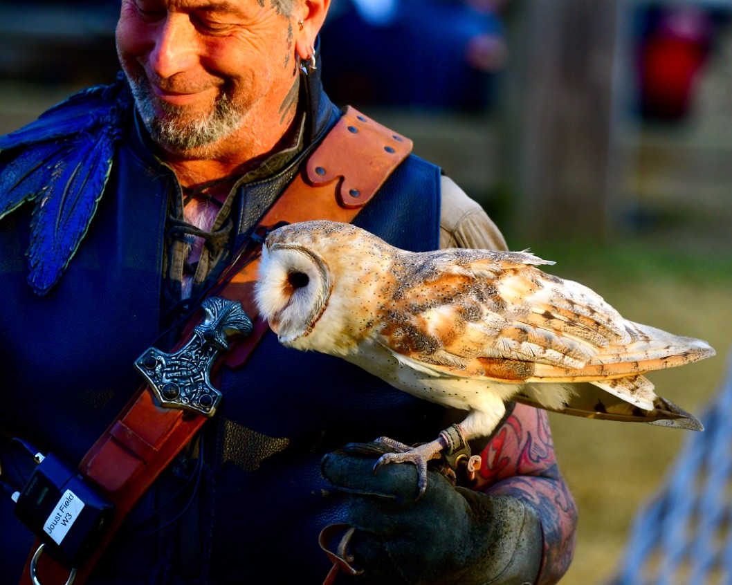 Smile and a Barn Owl