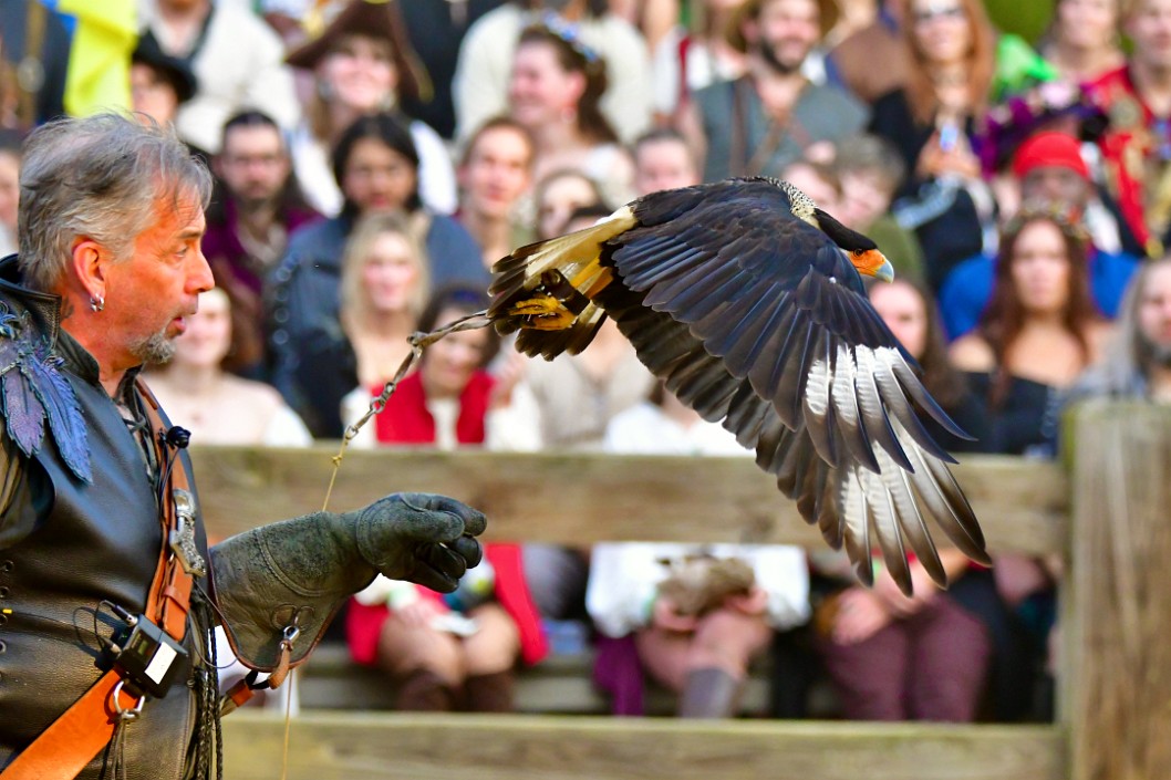 Caracara Launching