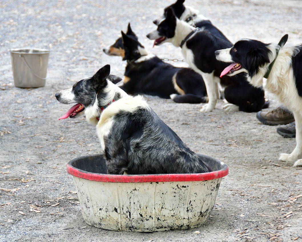 In a Cooling Tub