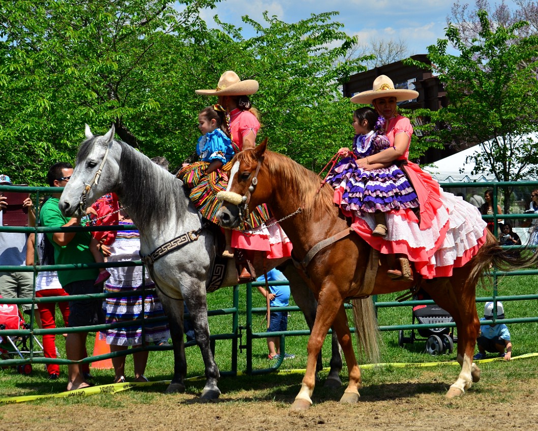 Horses and Big Dresses Horses and Big Dresses