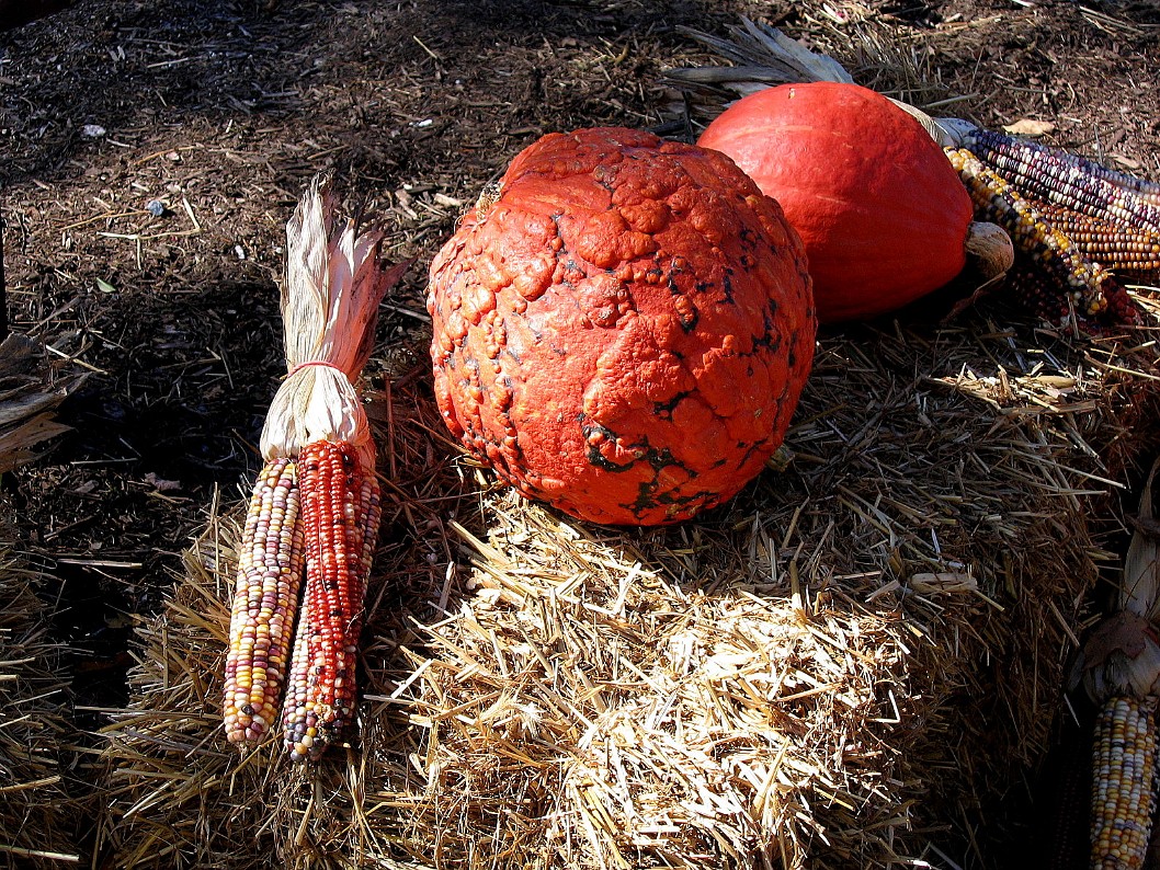 Autumnal Produce