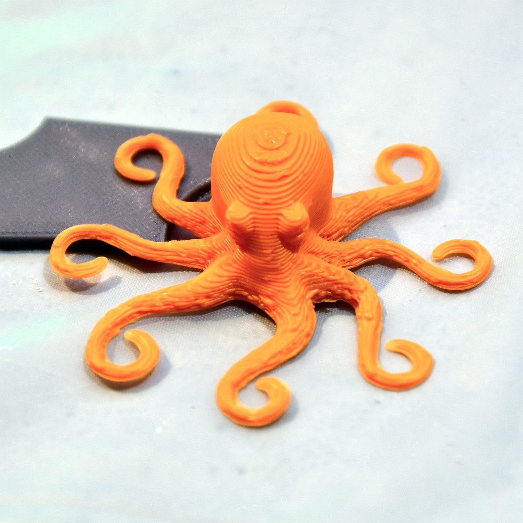 Orange Octopus