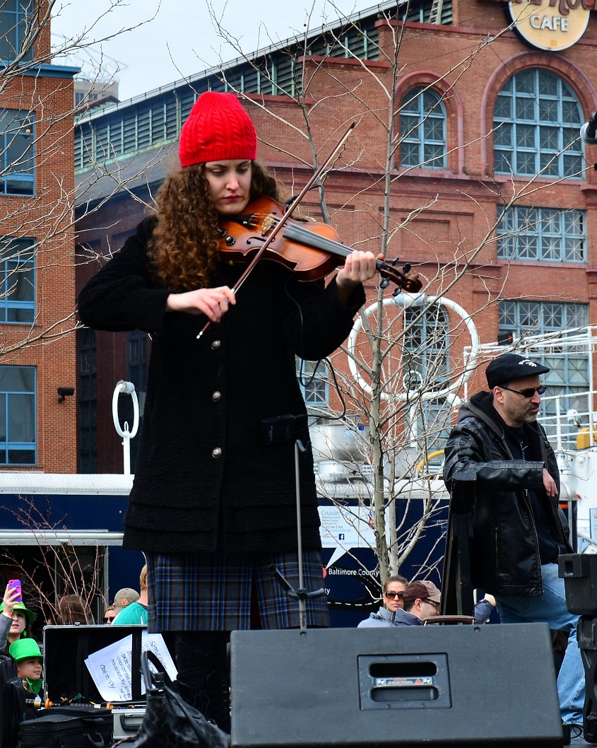 Red Hatted Fiddler Red Hatted Fiddler