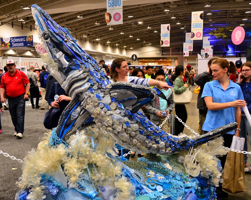 Shark Made of Refuse Shark Made of Refuse