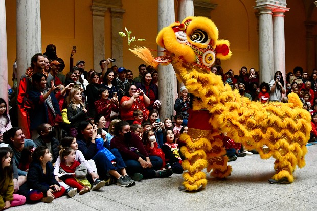 Yong Han Lion Dance Troupe