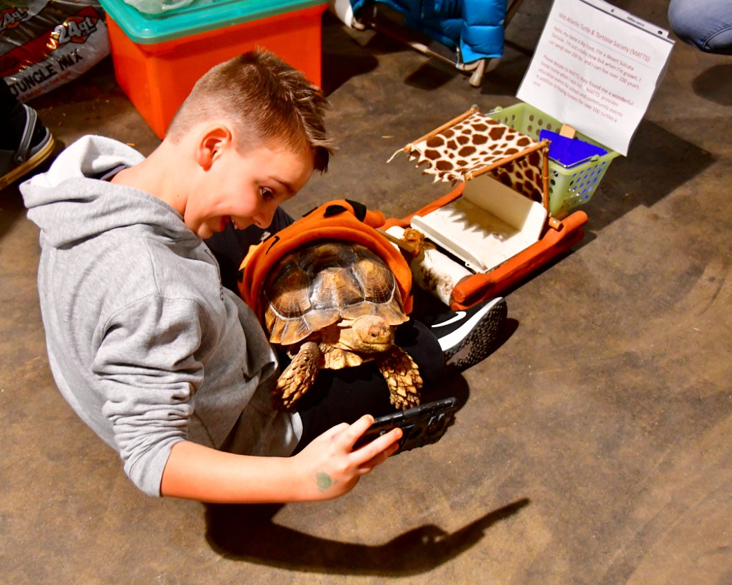 Happy Turtle Selfie