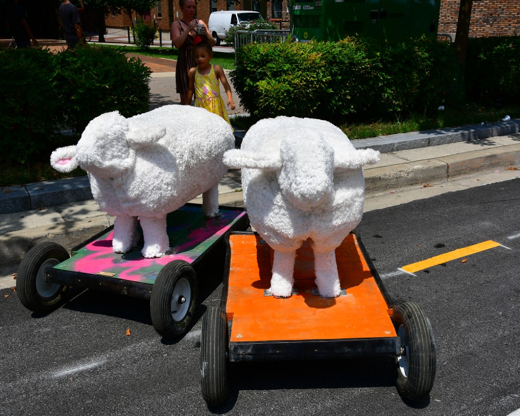 Sheep With Wheels