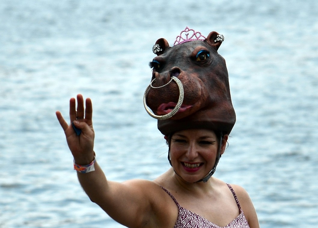 Hippo Helm Hippo Helm