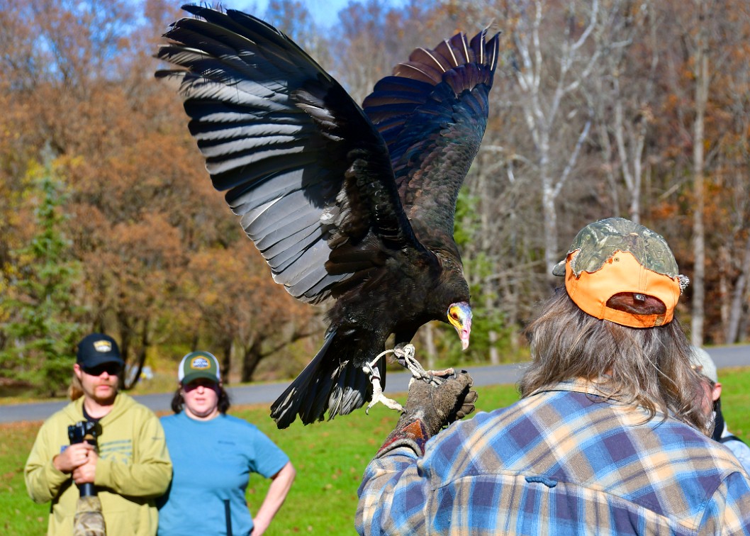 Flapping