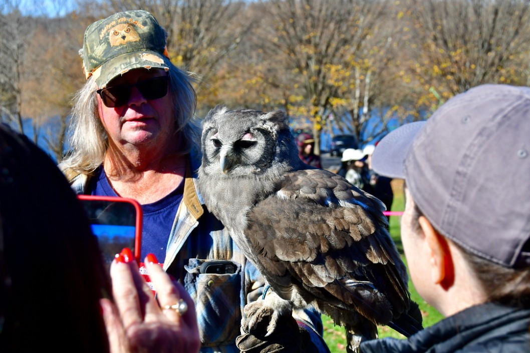 Everyone Loves the Milky Eagle-Owl