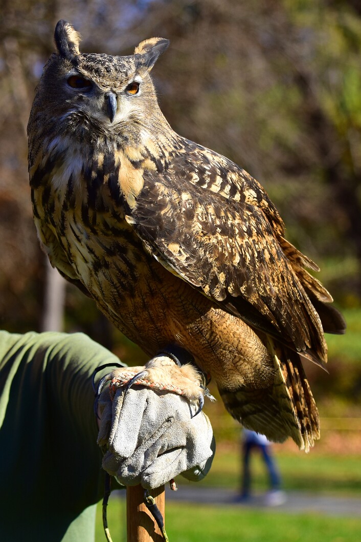 Catching a Bit of Breeze