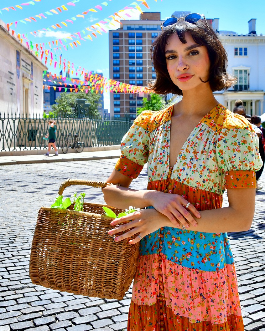 Basket and a Wonderful Dress 2