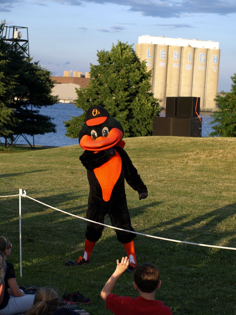 Oriole Bird Doing What He Does Oriole Bird Doing What He Does
