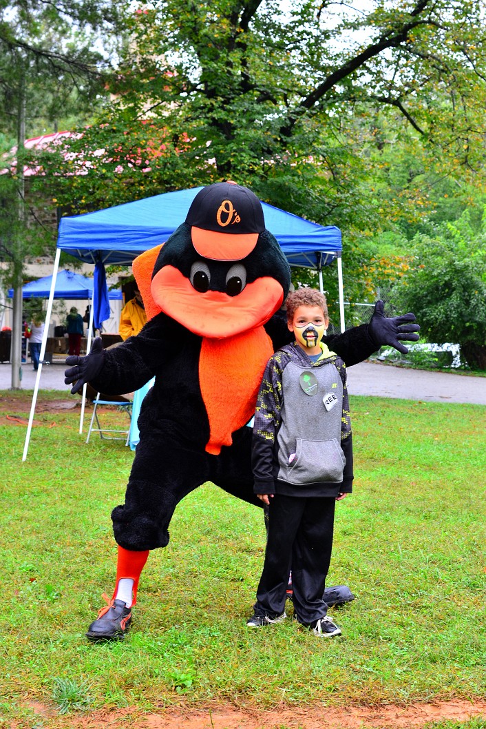Oriole Bird Out in the Park Oriole Bird Out in the Park
