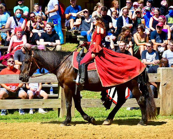 Joust and Equestrian Show