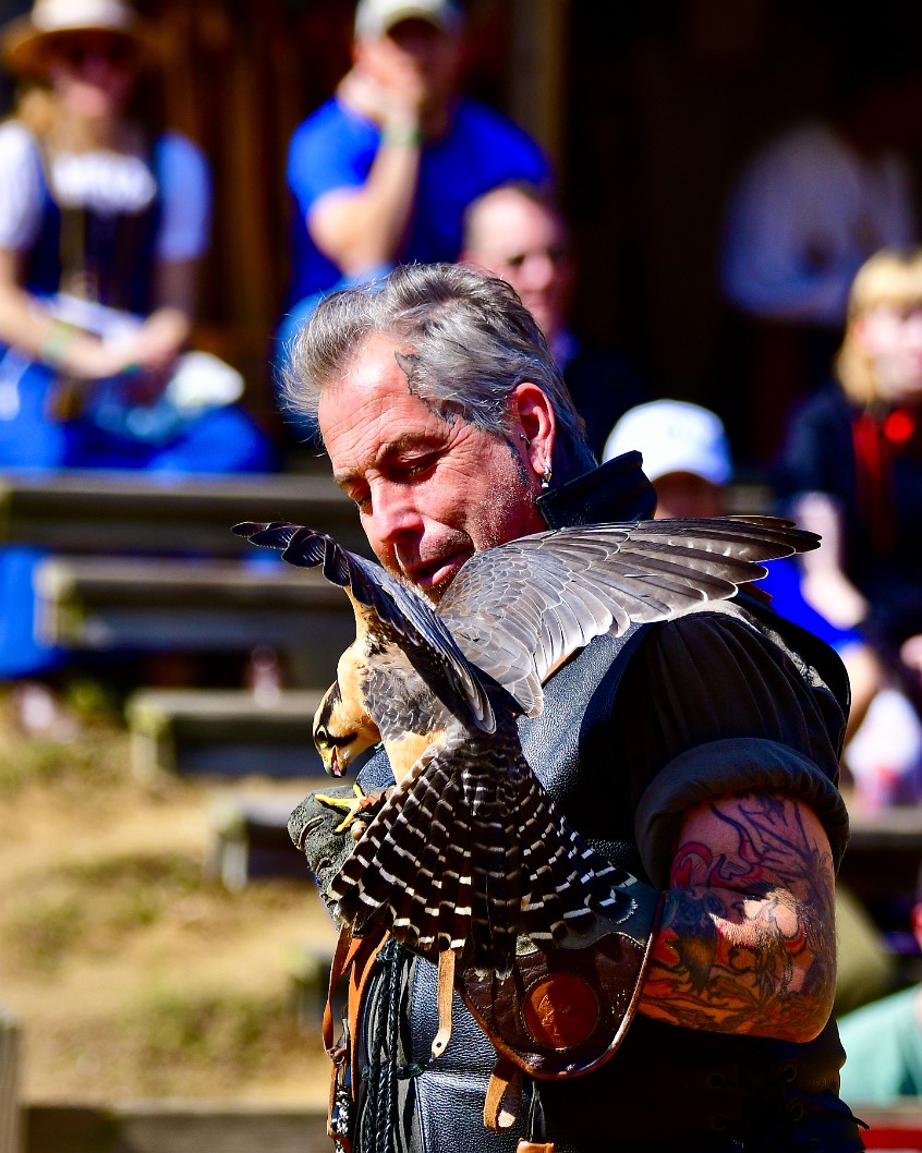 Tail Feathers Spreading