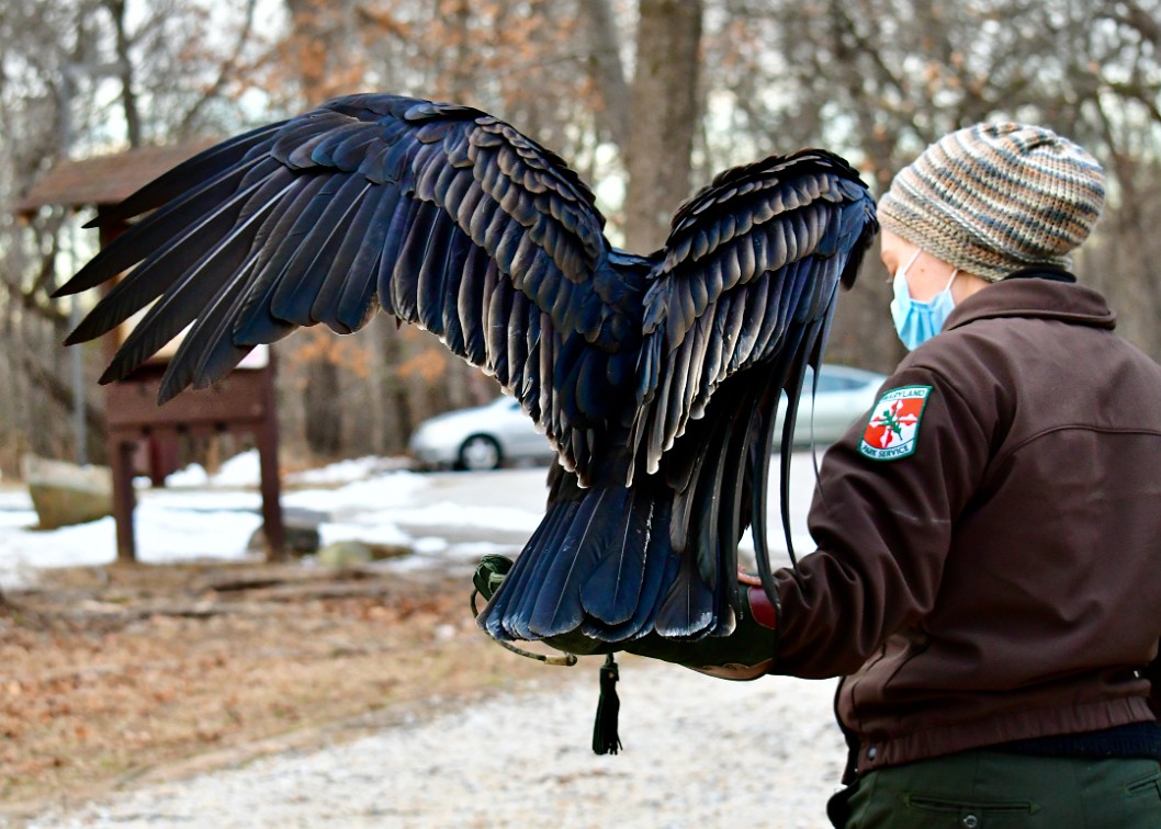 Feather Layers