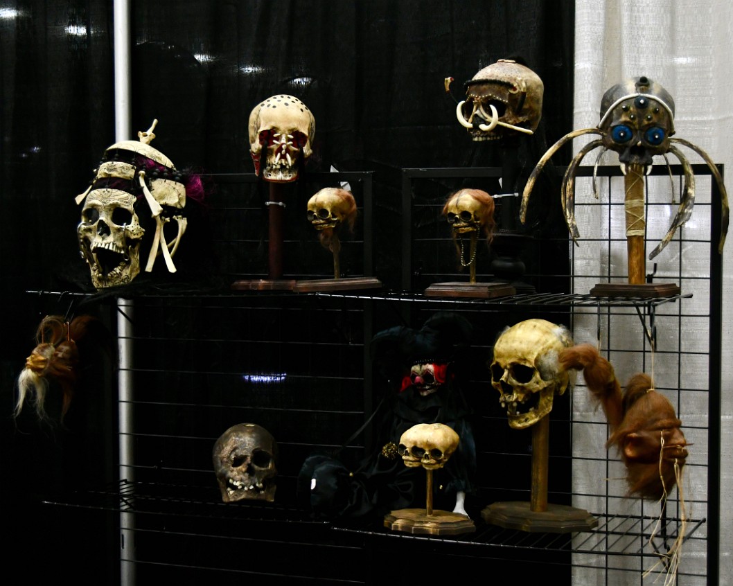 Mounted Skulls and Shrunken Heads